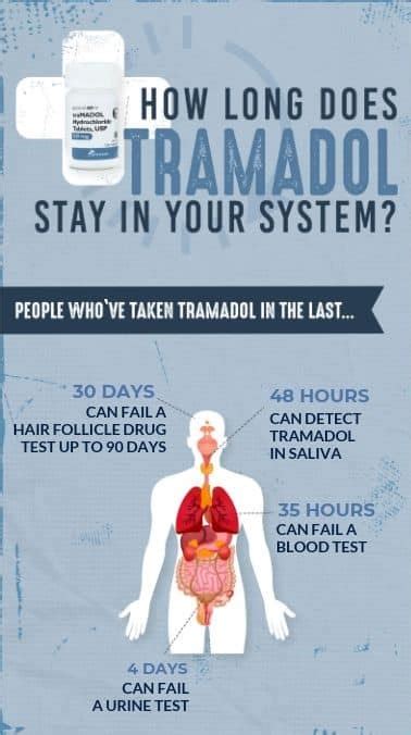 Tramadol has a half-life of 6 to 7 hours while. . How long after taking tramadol can i drive